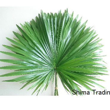 リトアニア観光のおすすめスポット15選！歴史的建造物からユニークなスポットまでVELTRA旅行ガイド