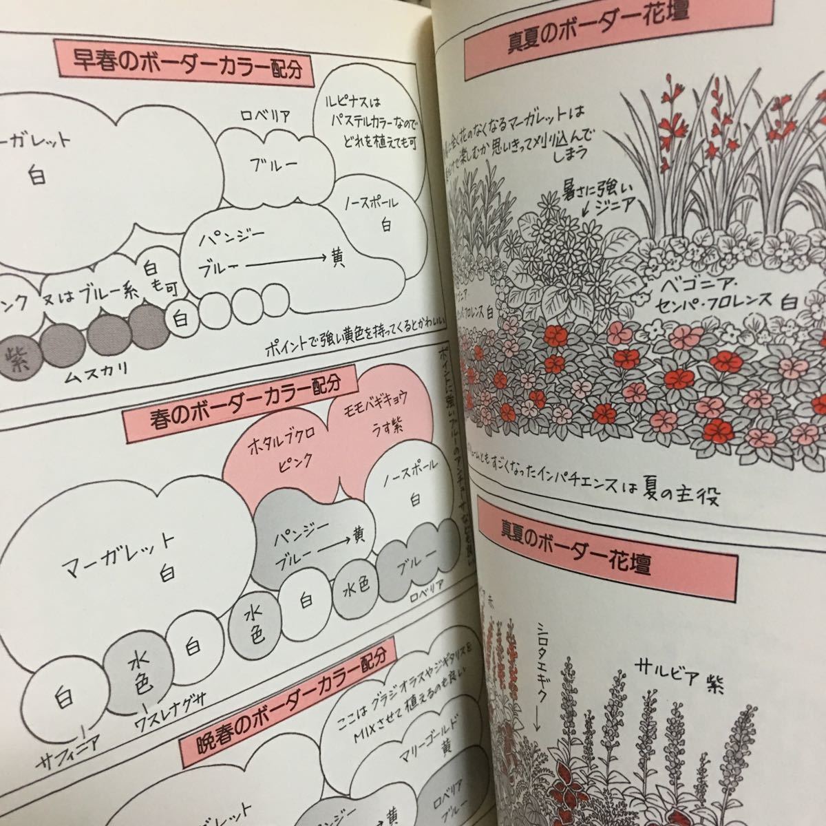 あたし天使あなた悪魔 きょうだい育児は大騒動！編 / 田島