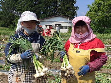 制度と環境 | 有限会社セイヤ工業 青森県 上北郡