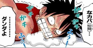 カメラバカにつける薬b's mono-log