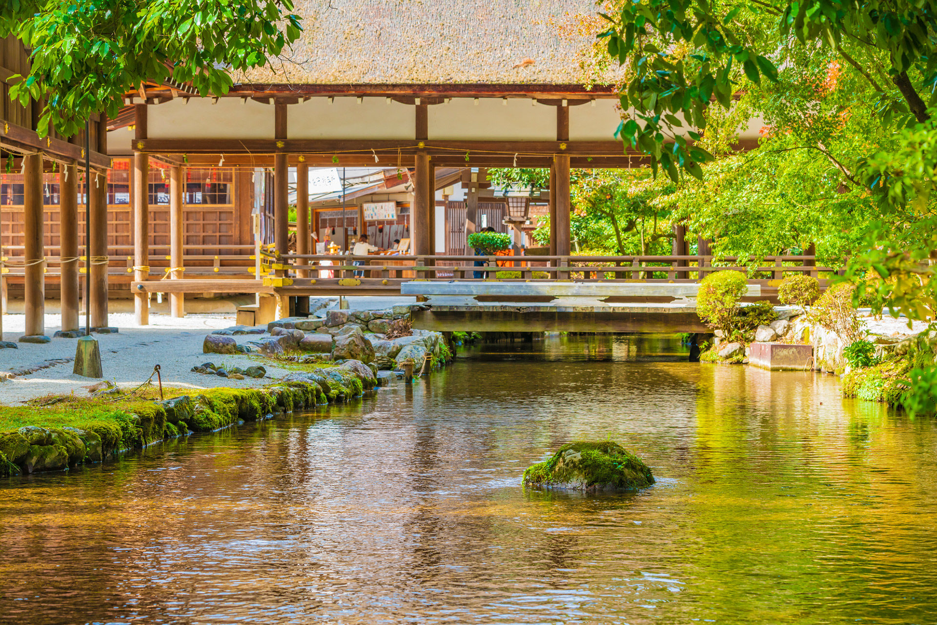 夏の宵を愉しむ京都｜そうだ 京都、行こう。