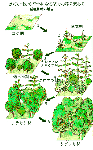 森林と木：九州森林管理局