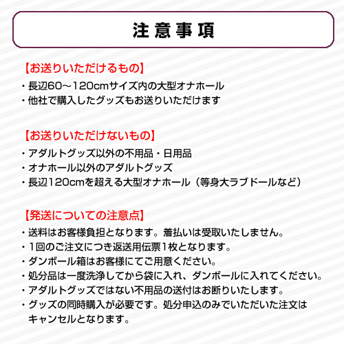 オナホールの処分方法と間違った捨て方 | おなほろぐ