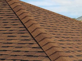 ニチハ 総合カタログSadaカタ