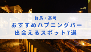 新潟で即セックスできる場所を調査！24歳OLと即ヤリした体験談あり - 出張IT社員のセックス備忘録