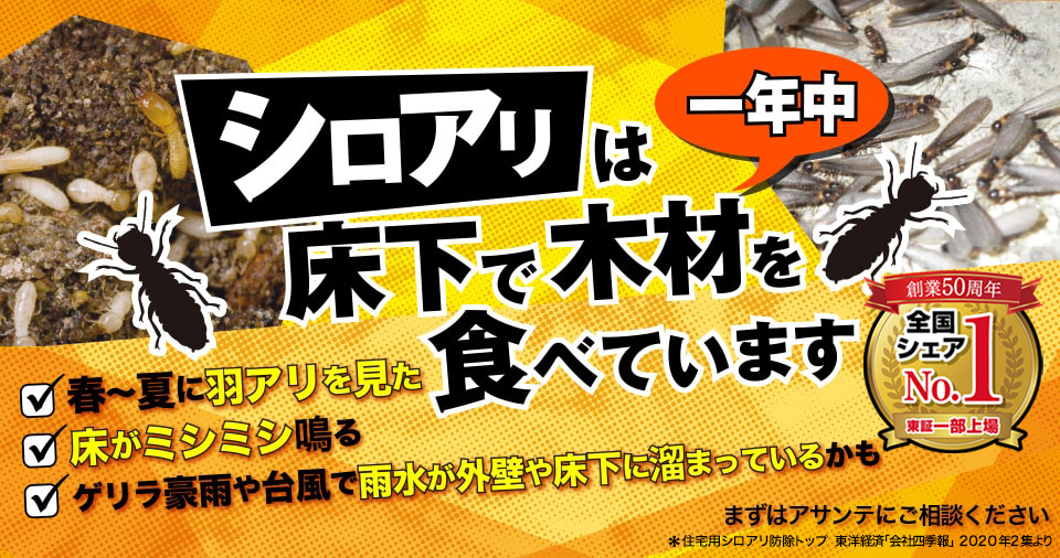 アサンテの年収は高い？低い？】社員の口コミから評判もご紹介 | JobQ[ジョブキュー]