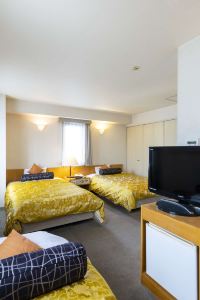 ホテルSHIZUOKA KITA WASHINGTON HOTEL PLAZA静岡市、3*(日本)