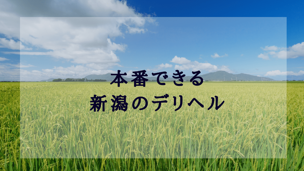 デリヘルが呼べる「ホテルニューグリーン柏崎」（柏崎市）の派遣実績・口コミ | ホテルDEデリヘル