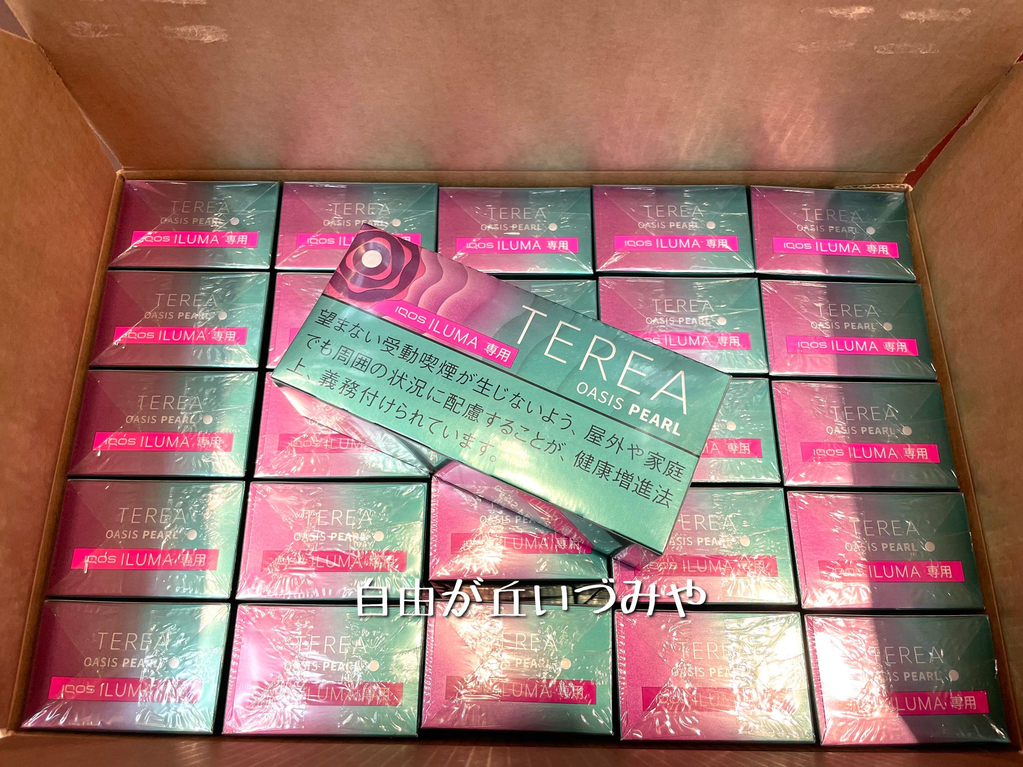 楽天市場 テリア オアシスパールの通販