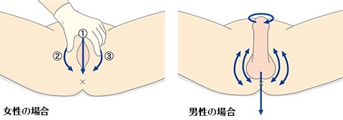 陰部洗浄は皮膚の清潔保持に必要！手順や留意点などを解説！｜介護ワーカー