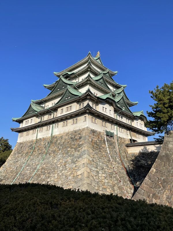 “鯱” , Killer whale, 難読漢字🎶読めますか🤭, 動物にまつわる漢字です🖊️, ⇩, ⇩ , ⇩, ⇩, ⇩,答えは”シャチ””シャチホコ”, これは、いけそう😋✌🏼✨, シャチ以外にも、シャチホコってゆうのは初知りでした💡,みなさん読めましたか〜💛🎶, 英語では、”キラーウェール”, 直訳、殺人クジラ。すごく強そう。😱, 動物界最強の肉食者、との意味合いで,