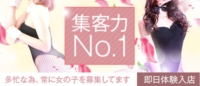 和歌山のガチで稼げるソープ求人まとめ | ザウパー風俗求人