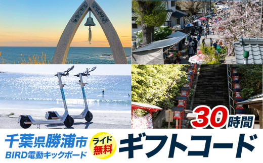 朝市のある港まち勝浦 - 千葉県勝浦市観光協会公式サイト