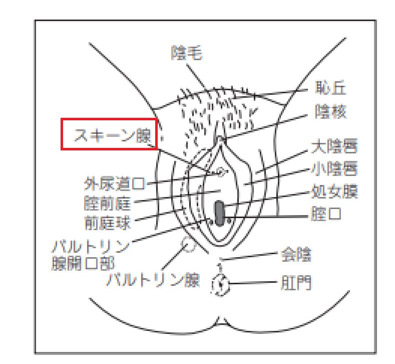 潮吹きしやすい体位（まさかこれが企業案件とは誰も気づかないだろう・・）【唯井まひろ】