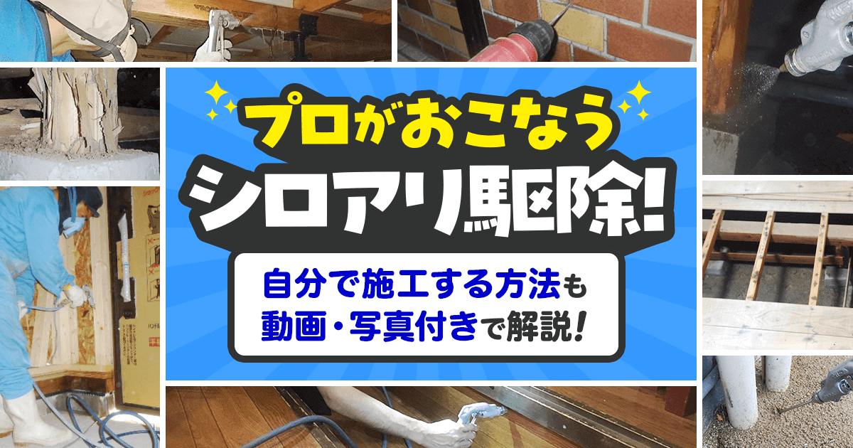 アサンテ 床下定期診断で家屋倒壊や断線 停電を回避、定期的なシロアリ危険度診断や探知犬チェックで命を守れ | tokyo