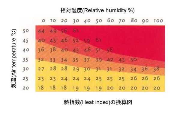 早稲田大学高等学院中学部 ショップ 模範解答·解説集 NN早大学院クラス 早稲田