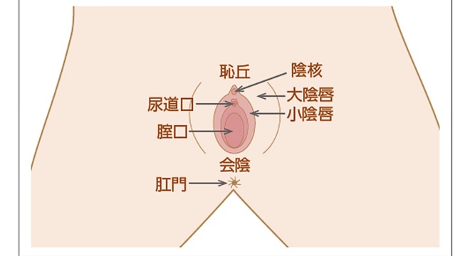 全身を網羅！セックスで気持ち良くなれる31の性感帯を完全ガイド | ラブ・セックス