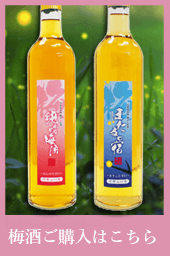 大畠酒造Lacycle mall ラシクルモール