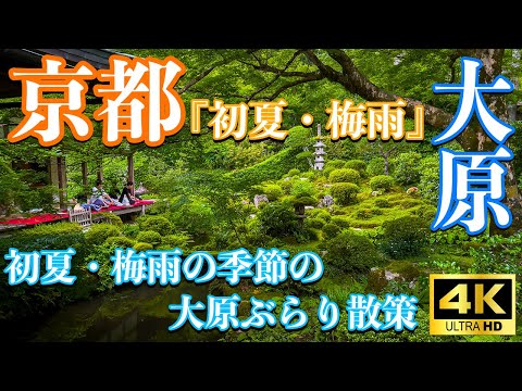 梅雨の京都はここに行け】柳谷観音のあじさいウィークスタート！ | MORE