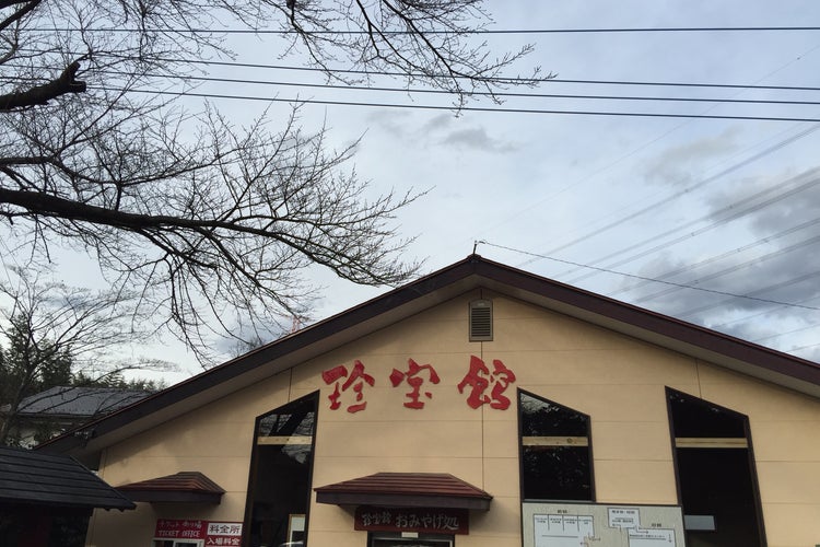 名物館長のトークが面白い！珍宝館（伊香保）とは？大人のスポットの特徴や魅力を紹介 - お出かけは良いですよ！