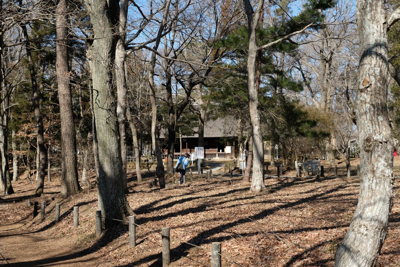 モノレール作草部駅、すぐ近く 炭火やきとり鳥ふじを初訪問！ 素材の持ち味を存分に活かした、炭火焼鳥を存分に堪能！