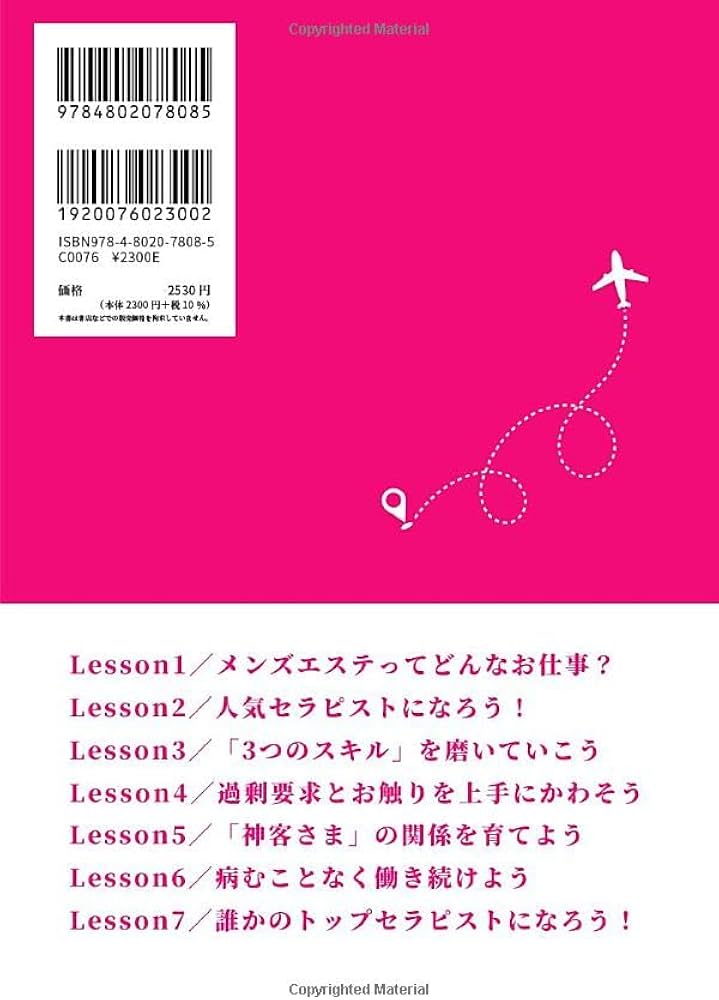 オプションサービスがたくさんあるイメージイラストのイラスト素材 [112796280] -