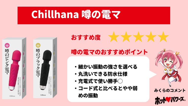 ラブグッズ愛好家による「電マ」のおすすめガチ比較ランキング１５選！ | なつえりドットコム