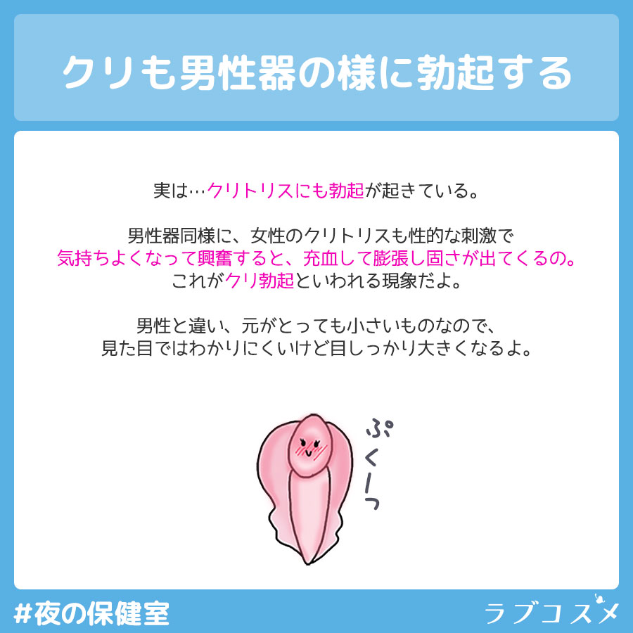 ペニスとクリトリス「勃起・形・メカニズム」の違い【比較完全図解】 | セクテクサイト