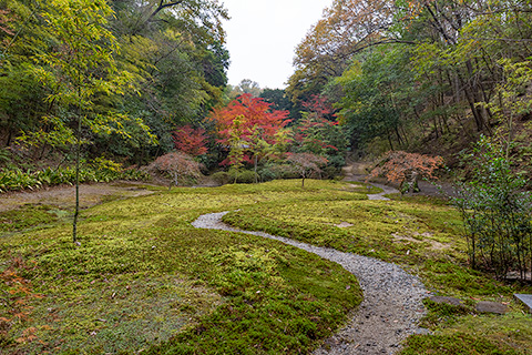 客室のご案内｜ホテル MOSS（モス）｜広島・福山市