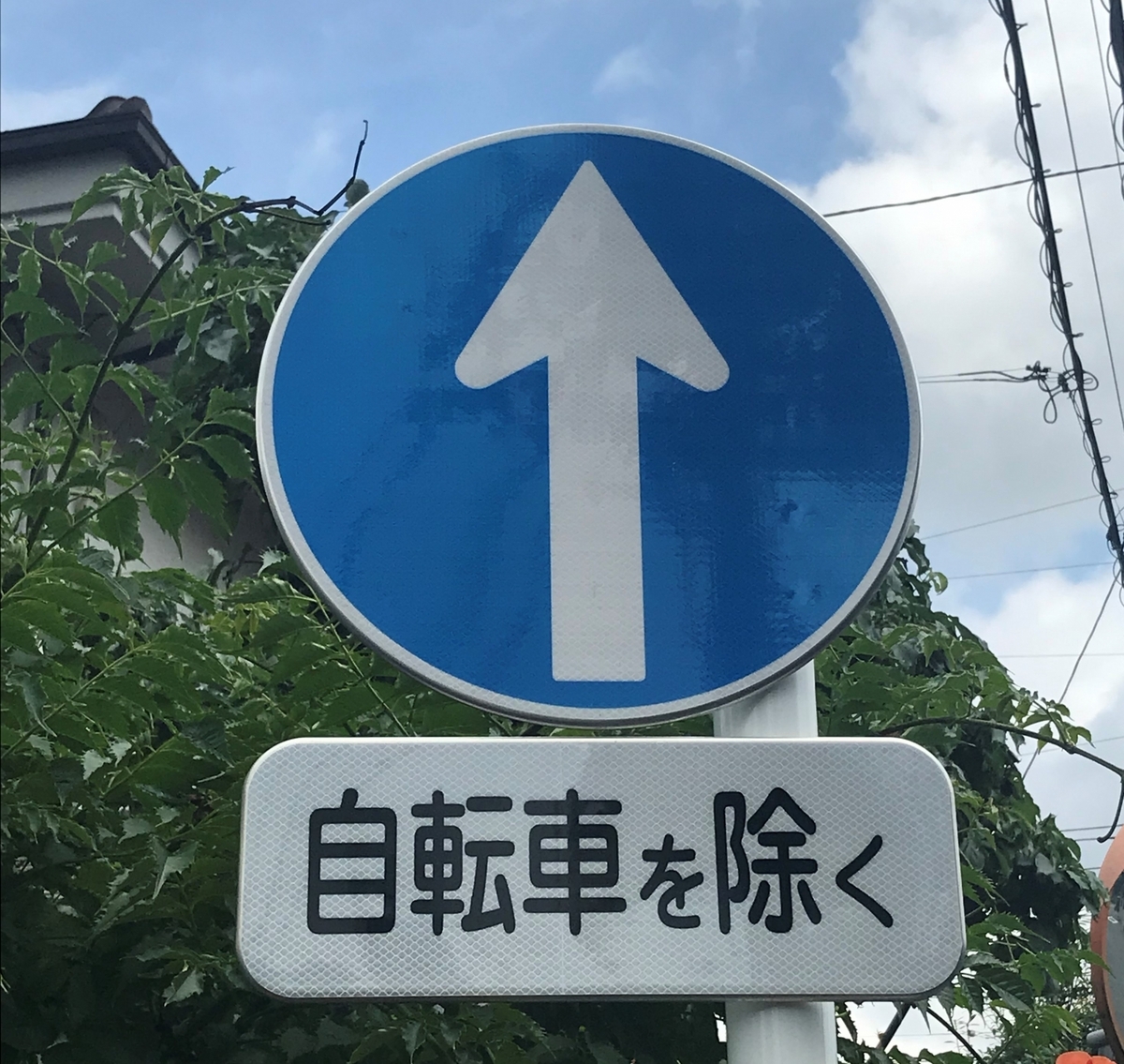 一方通行の標識覚えてますか？うっかり間違えたときどうする - Carticle！ カーティクル
