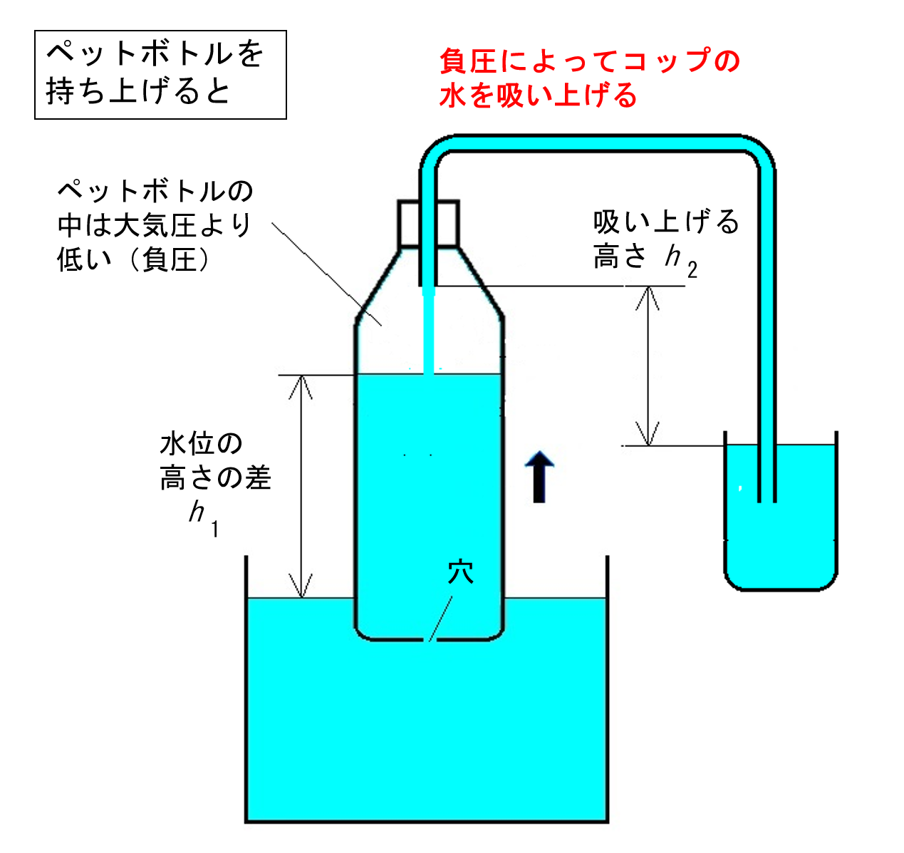 蚊が刺すとき、体内で何が起きているのか？ 分泌物・腫れ・かゆみの理由