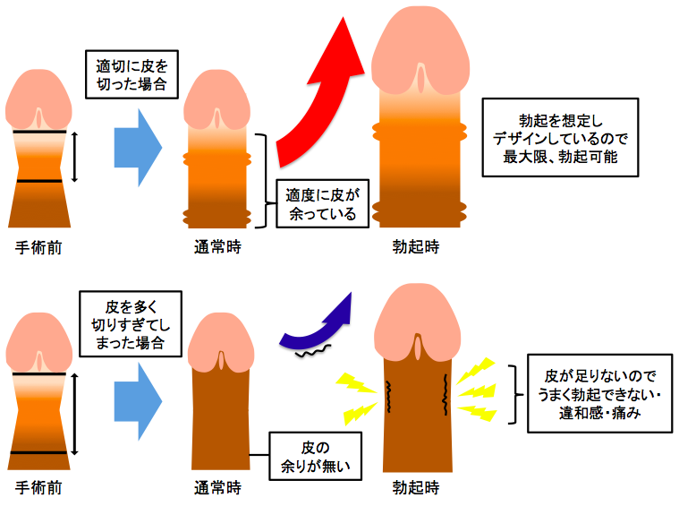 全国のしみったれた仮性包茎男子に朗報！ 皮余りオチンチンに「なんかもう、愛しさ‥‥」とウットリする美人がここにいたぞー！ 