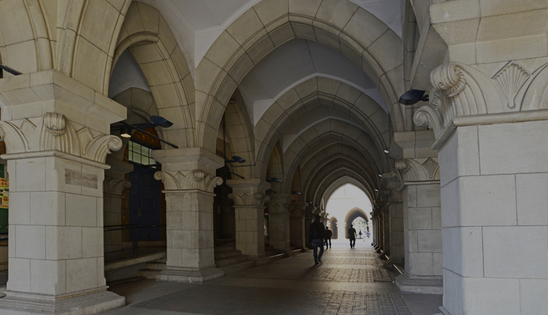 眠れない、涙が止まらない逃れ難いハラスメント 政治家残酷物語 2日本最大の選挙・政治情報サイトの選挙ドットコム