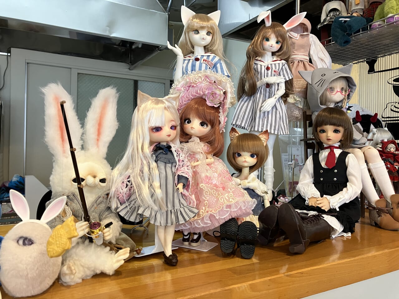 呉市】可愛い人形がいっぱいのドールカフェ「DollCafe TwinkleStars」にお気に入りの人形を持って出かけちゃおう☆ |