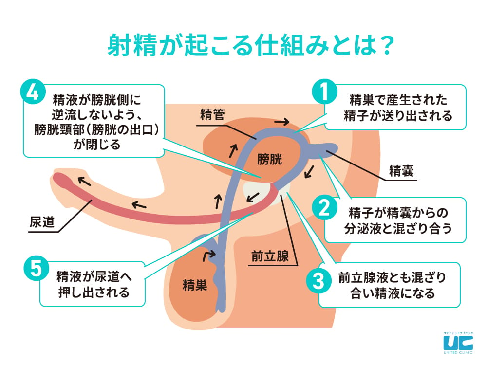 男性のマスターベーション（オナニー）の適切な方法 - TENGAヘルスケア