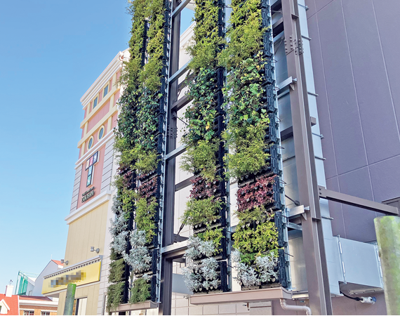 店舗・商業施設施工事例平成建設