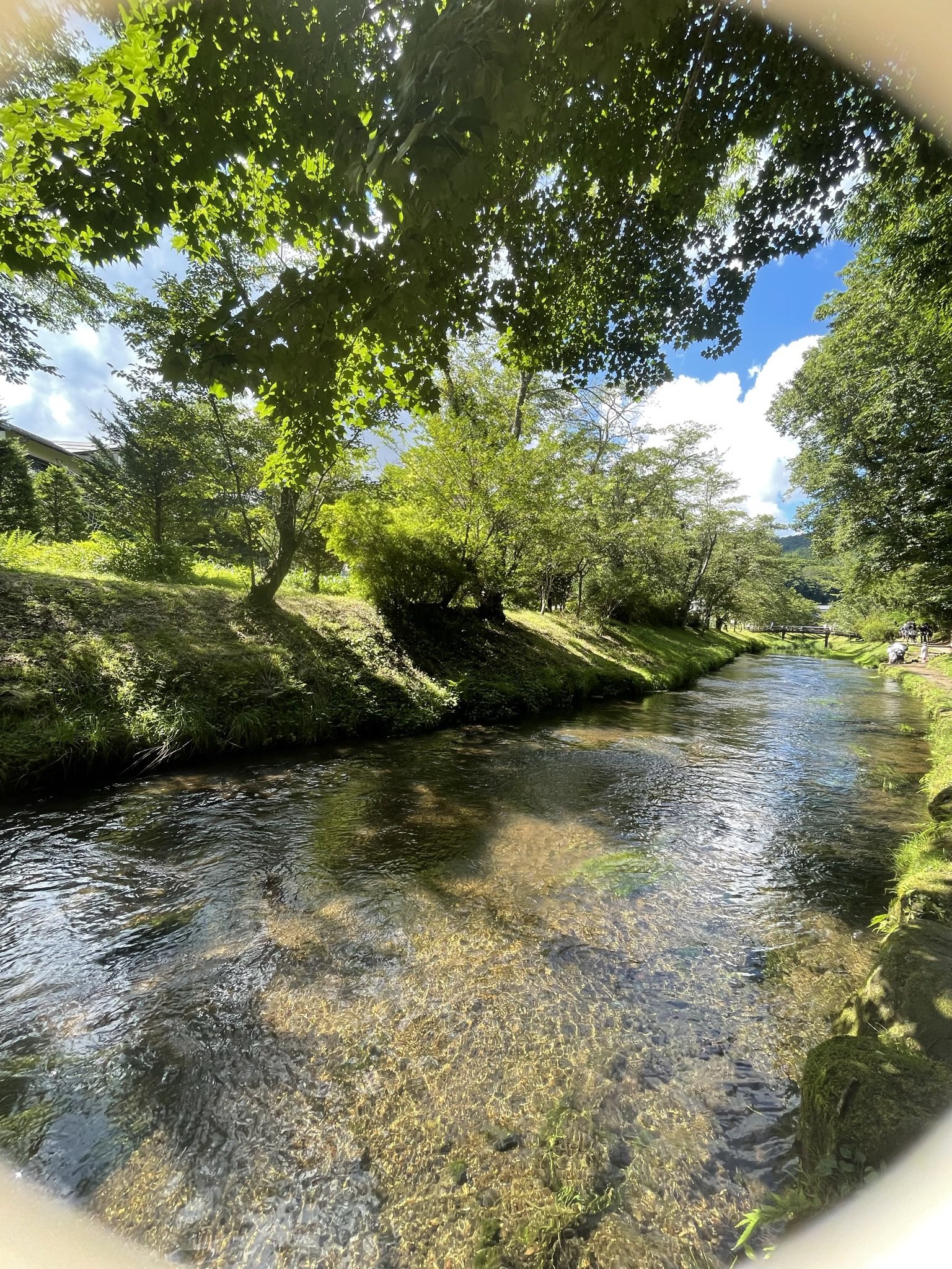 グランパセオ高田馬場｜高級賃貸のエクセレント