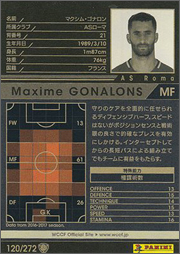 リヨン 2011-12チームデータ ゆうてんじスポーツ