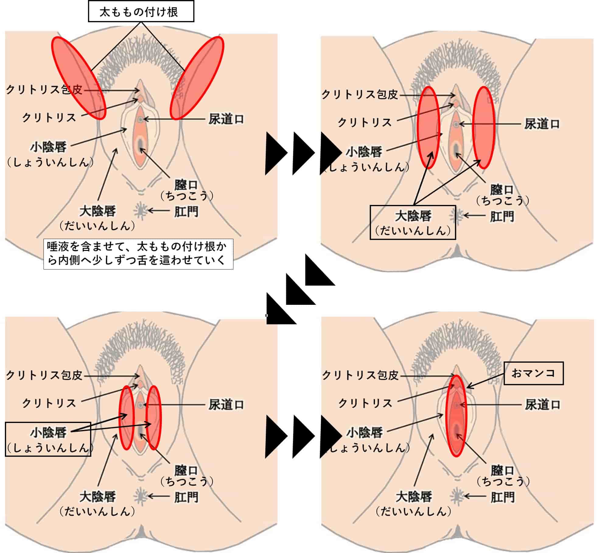 更に気持ちいいと感じる体位！四つん這いクンニのやり方と方法｜Cheeek [チーク]