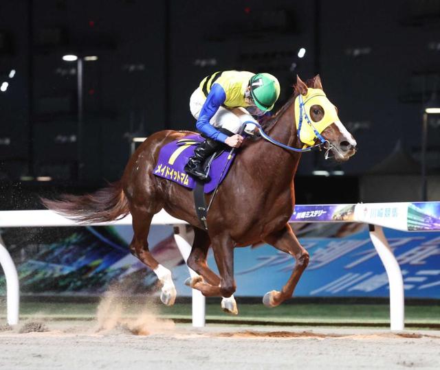 船橋・クイーン賞枠順】パライバトルマリンは3枠3番、テリオスベルは8枠11番 | 競馬ニュース - netkeiba