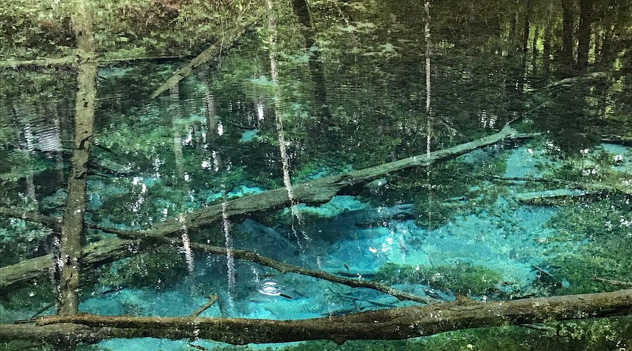 神の子池 - Wikipedia