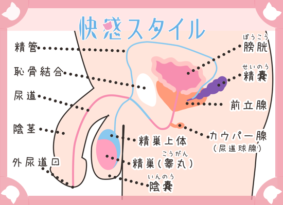 正しい男同士のセックス（ゲイプレイ）のやり方！おすすめプレイ5選も紹介｜駅ちか！風俗雑記帳