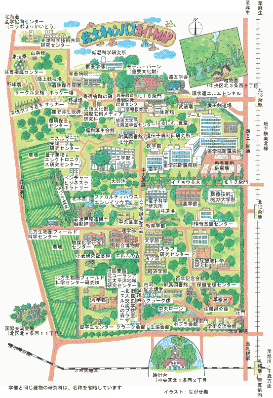 札幌 公園緑地さんぽ】 札幌と北大の歴史を感じながら