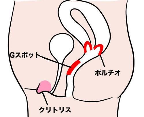 クリトリスの開発してますか？今よりも更に気持ち良くなれる方法を解説｜Cheeek [チーク]