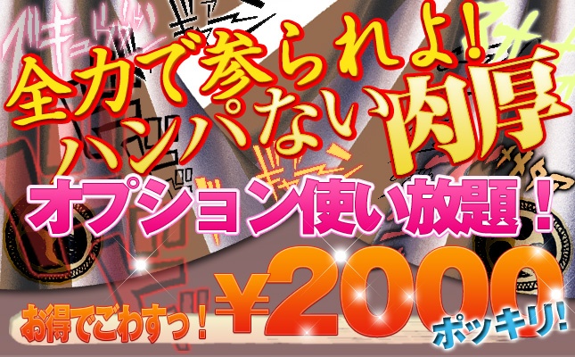 写メ日記オプション | 風俗店無料ホームページ制作(HP制作)・デリヘルホームページ作成