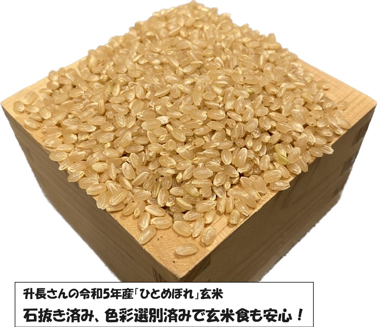 ネット卸売り 鳥取県産 新米ひとめぼれ 令和6年 玄米30キロ