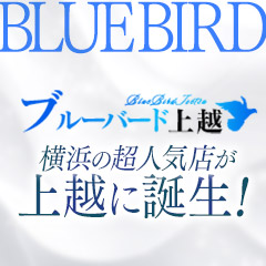 BLUE BIRD 上越(ブルーバードジョウエツ)の風俗求人情報｜上越市