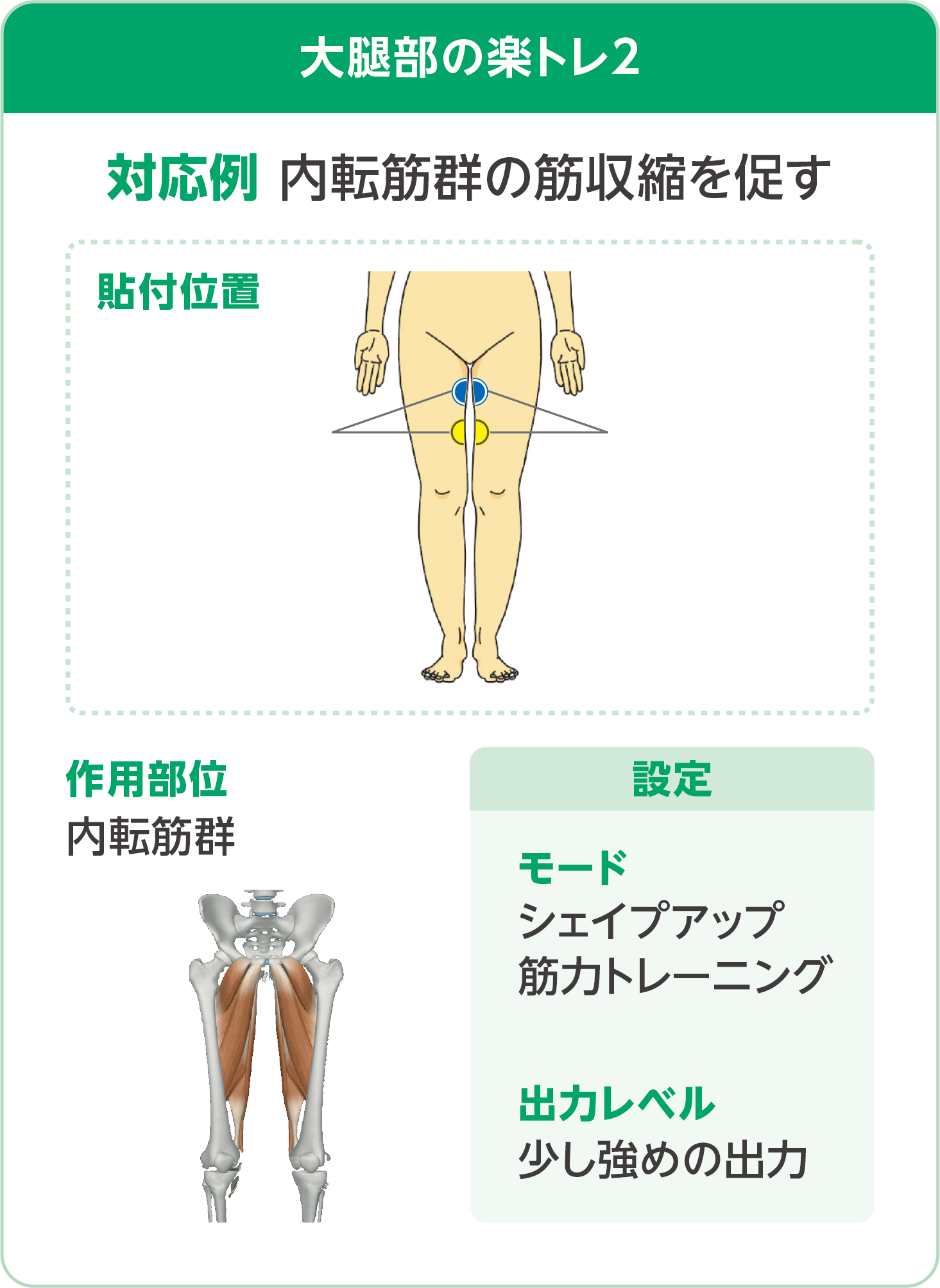 筋トレでEDは治る？勃起力向上に繋がる効果的な運動法を徹底解説【医師監修】 | 新橋ファーストクリニック【公式】