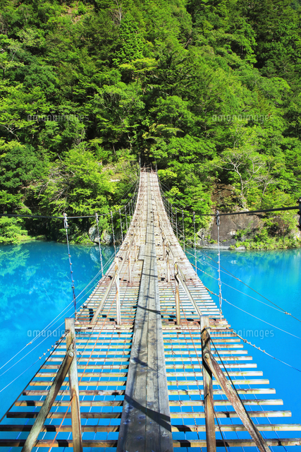 旅110日目 岩手県 盛岡、青森県 野辺地・大間 -