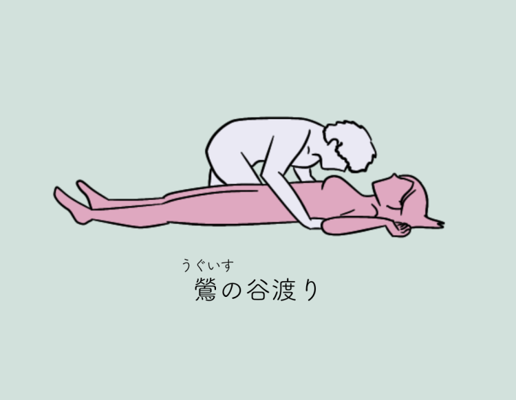 初級〜上級まで】セックスの体位48手のすべてをイラスト付きで徹底紹介 | Aivy